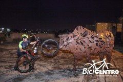 TSR-Watermark-136