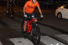 TSR-Watermark-60
