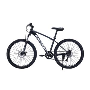 Raleigh 26 Mtb