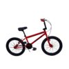 BICICLETAS DE NIÑOS Y JOVENES (7)